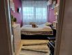 Eladó 66 m2 lakás - Budapest XX.