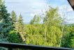 Eladó 175 m2 nyaraló - Szentendre