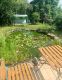 Eladó 175 m2 nyaraló - Szentendre