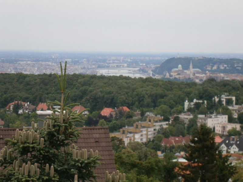 Eladó 430 m2 ház - Budapest II.
