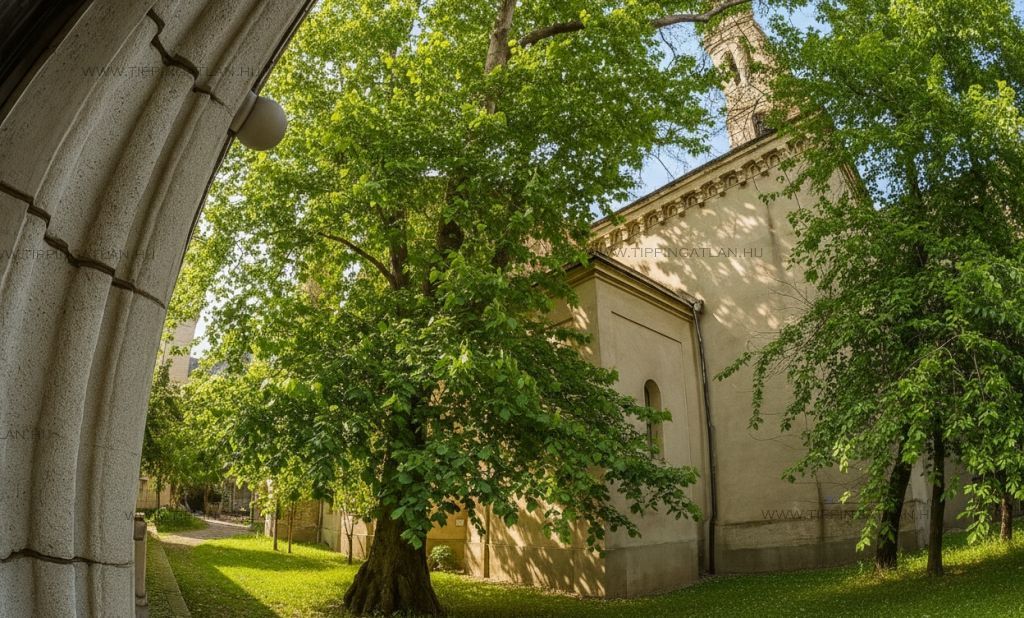 Eladó 58 m2 lakás - Budapest VIII.